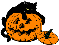pumpkin cat