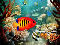 Tropical Fish 3D