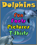 Dolphin Fun, Facts, Pictures, T-Shirts