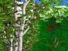 Woodland Dreams Screensaver