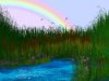 Woodland Dreams Screensaver