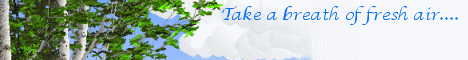 Woodland Dreams Banner